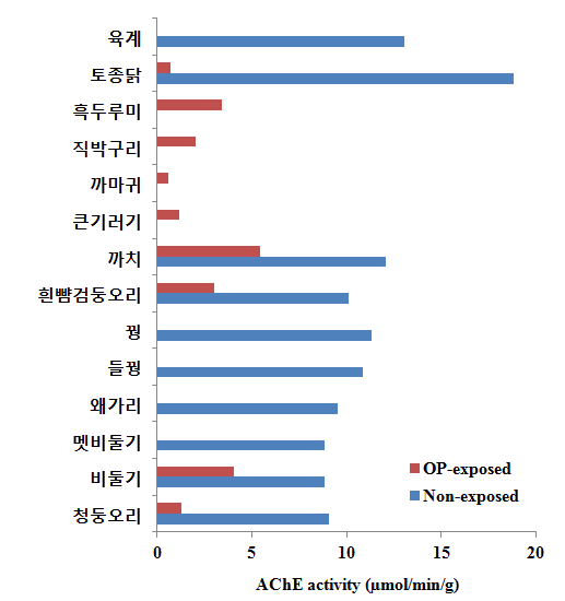 야생조류에서의 AChE 활성도