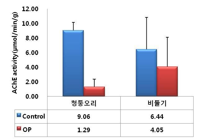 야생조류(청둥오리, 비둘기)에서의 AChE 활성도 (Control: 농약 불검출시료, OP: 유기인계농약 검출시료)