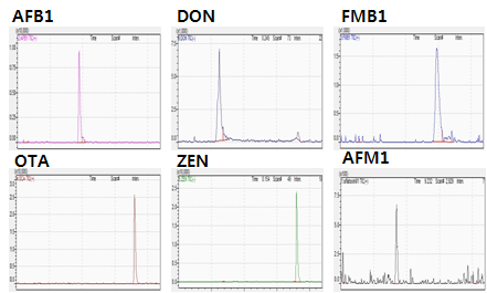 LC-MS/MS chromatograms of mycotoxin standard in chicken kidney tissues at aflatoxim B1 0.1 mg/kg, deoxylnivalenone 0.1 mg/kg, fumonisin B1 0.1 mg/kg, ochratoxin A 0.1 mg/kg, and zearalenone 0.1 mg/kg