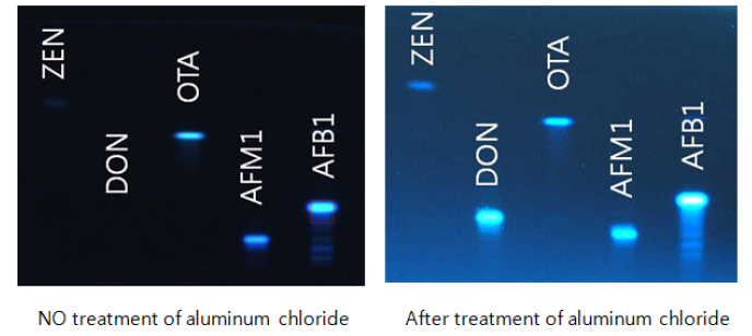 Visualization of mycotoxin applied plate under 366 nm lamp