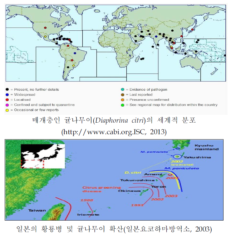 황룡병 매개충이 분포지역 및 일본에서의 귤나무이(Diaphorina citri) 확산