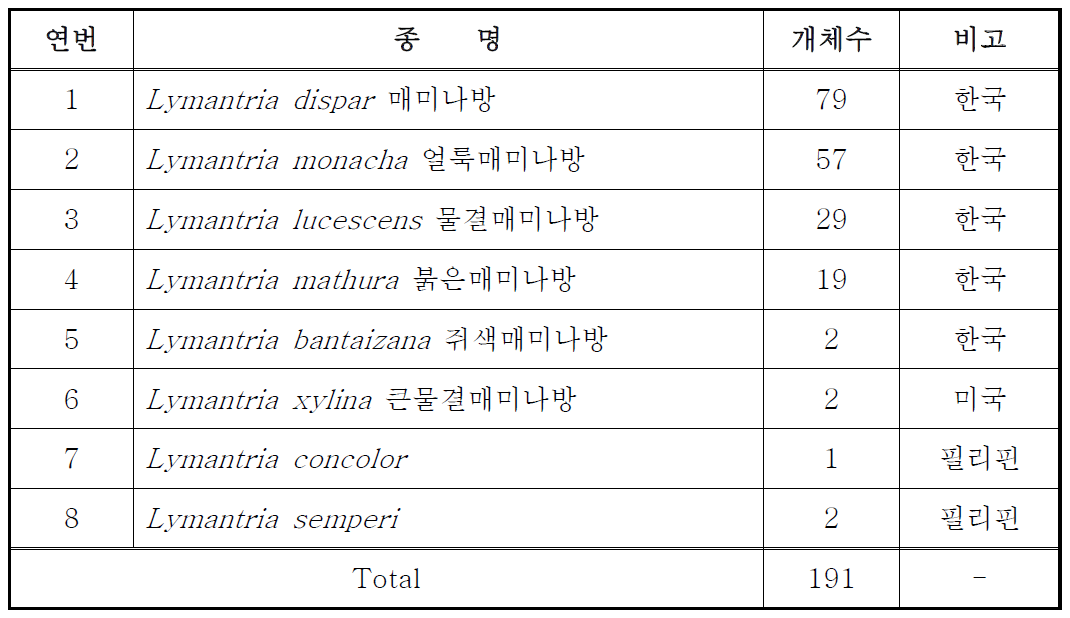 매미나방류의 종별 확보 샘플 수