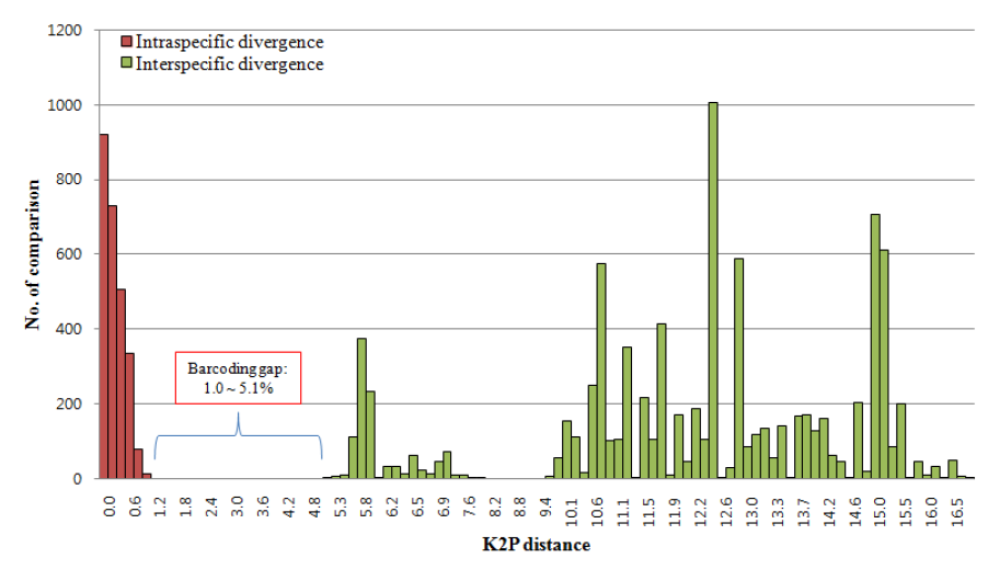 AGM 및 근연종에서 DNA barcode의 종내 및 종간 서열 차이 빈도 분포(Barcoding gap은 1.0 ~ 5.1%에서 형성되었음)