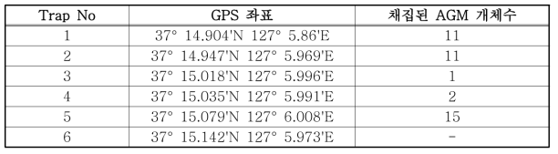 Site 3의 페로몬 트랩 설치된 곳의 GPS 좌표 및 채집된 AGM 개체수