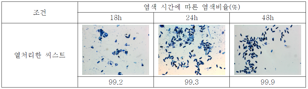 염색시간에 따른 Nile Blue A 염색