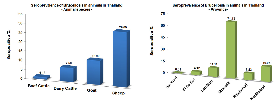 태국 6개 지역의 브루셀라 모니터링 혈청검사 결과(태국 측)