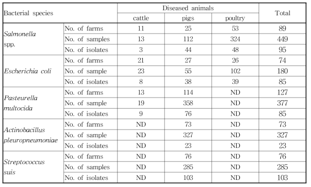 질병에 이환된 가축에서 분리한 가축 병원성세균