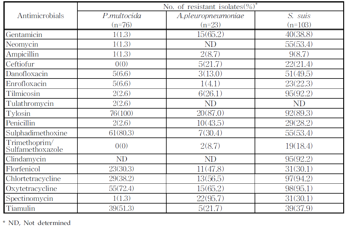 질병 이환 돼지에서 분리된 P. multocida, A. pleuropneumoniae, S. suis의 항생제 내성률