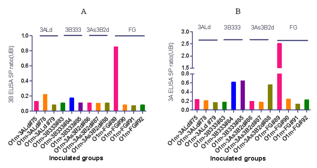 FMD antibody level by 3B and 3A ELISA (UBI) after challenge of FMDV recombinants in the pigs. A. 3B ELISA (UBI), B. 3A ELISA (UBI). UBI 3B ELISA and 3A ELISA were working well in infected sera, but 3B ELISA was difficult to judge whether differential diagnosis exact or not because of low reactivity (positive in >0.2)0. In 3A ELISA, all pigs of 3ALd inoculated groups was showed negative results (<0.32), we think that differential diagnosis could be possible