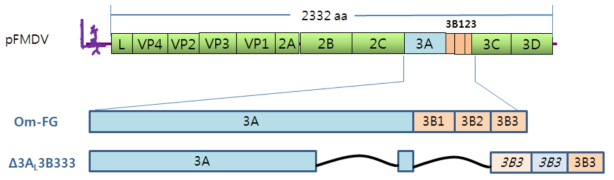 Schematic diagram of NSP differential double negative maker in FMDV infectious cDNA clones