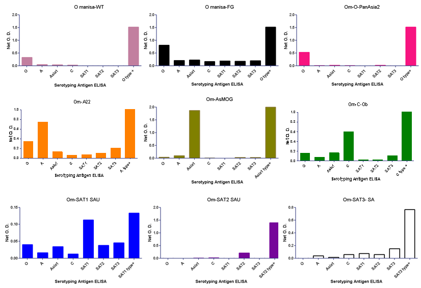 Antigenic identification of seven serotypes by antigen ELISA. The anti-sera and antigen for serotype-specific ELISA used antibodies from O Manisa (O1 BFS 1860 for antigen), A 464, Asia1 CAM 9/80, C3 Resende, SAT1 BOT 1/68, SAT2 ZIM 5/81, SAT3 ZIM 4/81