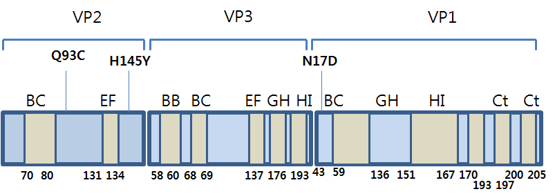 Mutation of stability-related P1 gene of FMDV serotypes