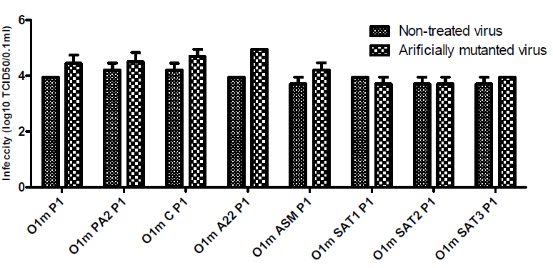 Virus infectivity after heat treatment (42℃ for 2hrs) of recombinant FMDVs produced by mutation of reported environment-resistant sites