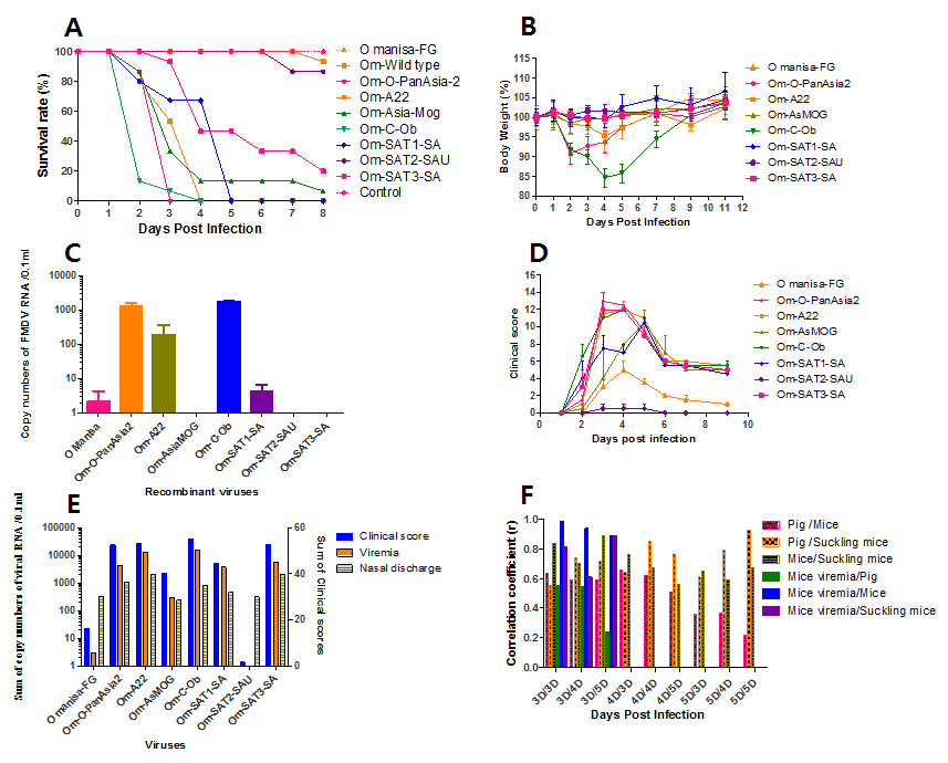 Pathogenesis of suckling mice, adult mice, and pigs infected with recombinant FMDVs. A. Survival rate of suckling mice after rFMDV challenge. B. Change of body weight (%) after rFMDV challenge in adult mice. C. Detection of viremia on the third day after rFMDV challenge in adult mice. D. Clinical score of recombinant FMDV with replacement of P1 region of O, A, Asia1, C, SAT1, SAT2, and SAT3 serotypes in full-length cDNA of O Manisa strain in pigs. E. Total clinical scores, total virus detected in the sera or nasal discharge during the pig challenge test. F. Analysis of correlation coefficient (r) between clinical score of pig or body weight change (%) of adult mice (C57BL/6) or survival rate (%) of suckling mice. The figures were calculated to absolute values. The correlation between those from day three (3D) were compared to day five (5D)