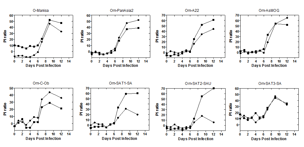 Variation of non-structural protein (NSP) antibody level in challenged groups (two pigs per group) after rFMDV challenge. The cutoff of positive result is 50 percent inhibition (PI) ratio