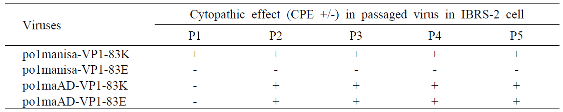 The virus growth by CPE pattern in IBRS-2 cell of rFMDVs (VP1 83E, 83K variants)