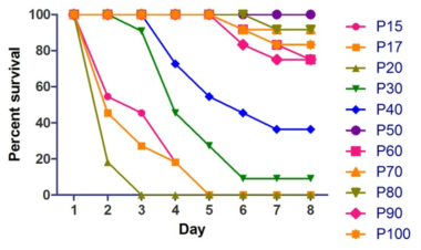 Variation of virulence in the suckling mice after highly serial passages in BHK 21 cells. The viruses were serial passaged in the BHK 21 cells until 100 times (p15 - 100)