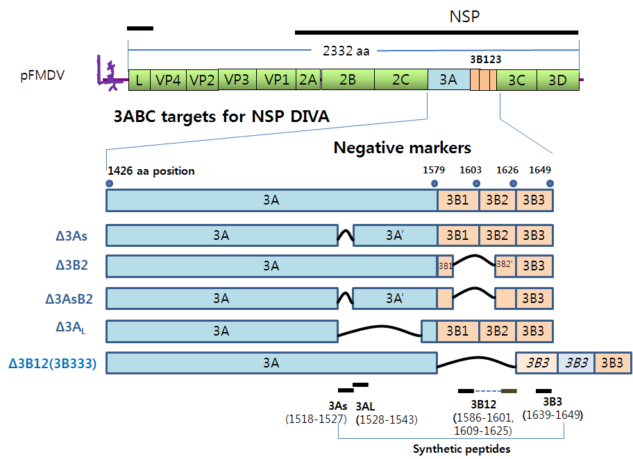 Deleted or synthetic sites for NSP differential negative maker in FMDV infectious cDNA clones