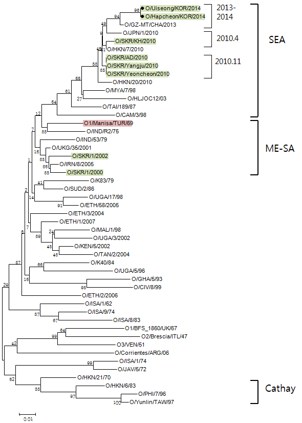 Phylogenetic tree of type O FMDV identified from recent FMD outbreaks around Korea