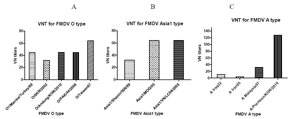 The neutralizing antibody levels by cross VNT in the 4-week sera obtained from cattle immunized E. coli vaccine candidates against FMDV strains occurred around Korea. A. VN titers against O type strains, B. VN titers against Asia1 type strains, C. VN titers against A type strains