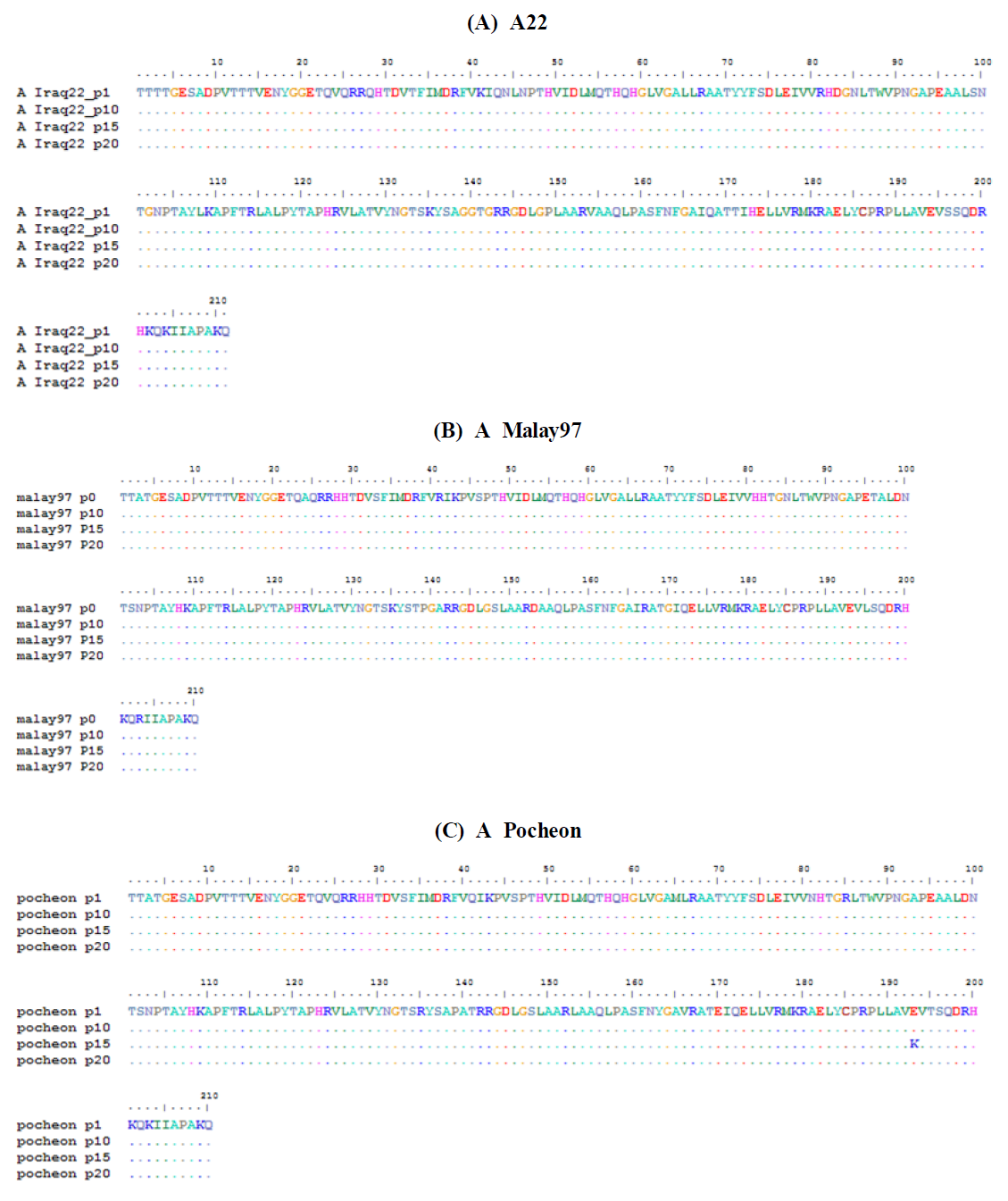 Sequence of A type viruses(A22, A Malay97, A Pocheon) after serial passage under the neutralizing antibody from E. coli vaccine -immunized cattle