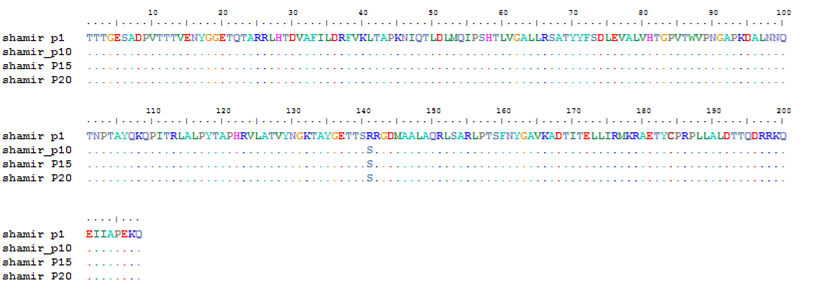 Sequence of Asia1 type virus (Asia1 Shamir) after serial passage under the neutralizing antibody from E. coli vaccine -immunized cattle