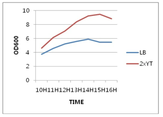 Seed culture growth curve of 3R-IGC according to culture media (LB and 2YT) of E.coli