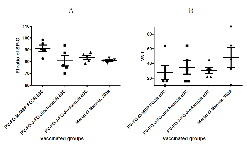 Immune response (ELISA and VNT) of experimental FMD vaccine against new FMDV strain. A. ELISA, B. VNT, The VNT results of <1:16 was dotted as 1:10 in Fig 2-12 B graph