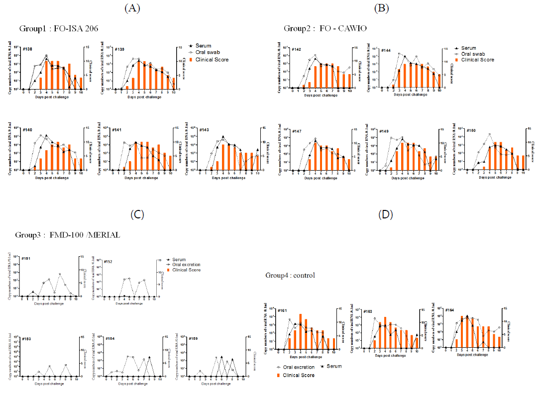 Clinical score and virus excretion after immunization and challenge. A FO-ISA206, B. FO-CAWIO, C. FMD-100 Merial Vaccine, D. Non-vaccinated control