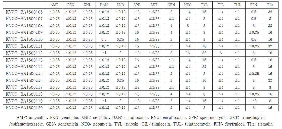 Pasteurella multocida의 MIC 결과)