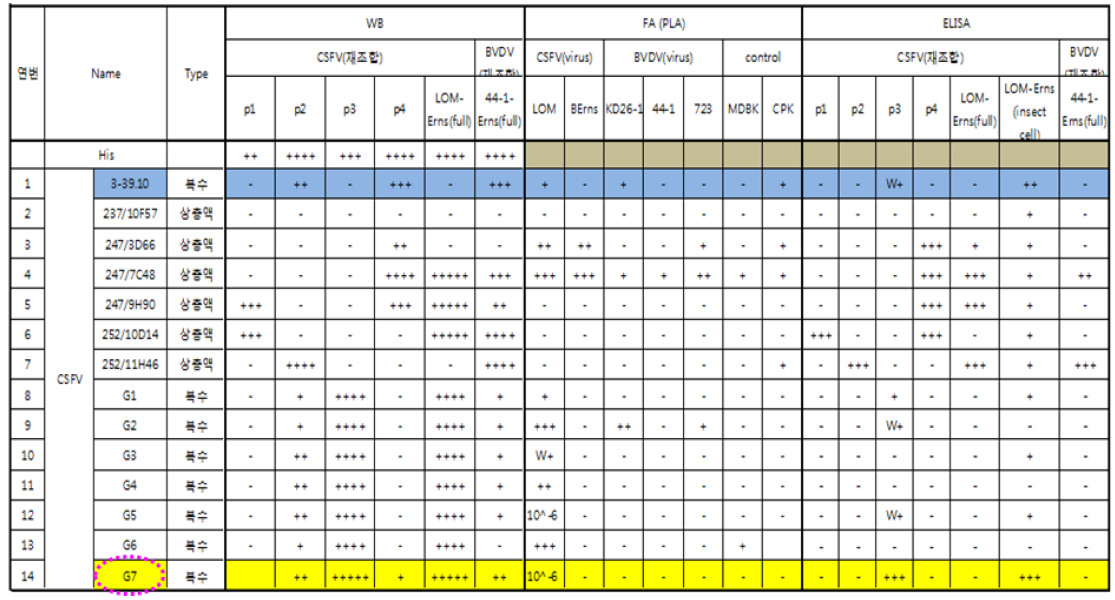 돼지열병 Erns 단클론항체 14종에 대한 반응성 확인