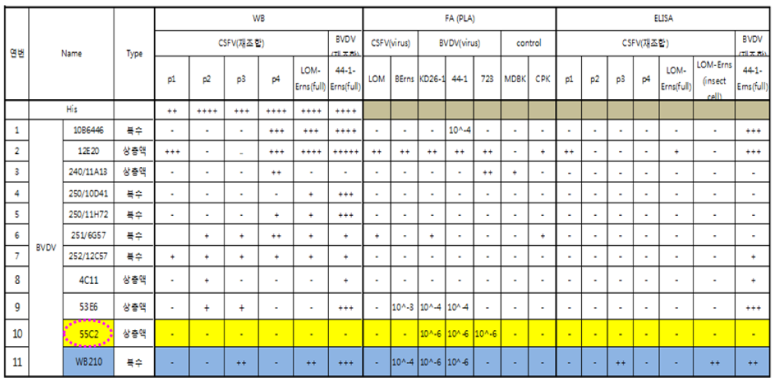 BVDV Erns 단클론항체 11종에 대한 반응성 확인