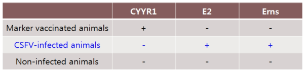 돼지열병 생마커백신 후보주(Flc-LOM-BErns-CYYR1) 맞춤형 감별진단법