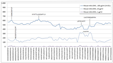 LOM1의 epitope 분석