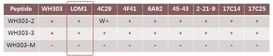 WH303 peptide ELISA 결과