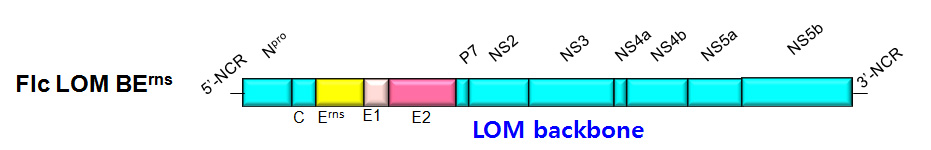 돼지열병 생마커백신(Flc LOM BErns)의 모식도
