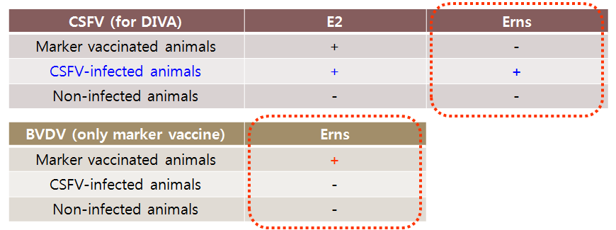 돼지열병 생마커백신 후보주(Flc LOM BErns) 맞춤형 감별진단법