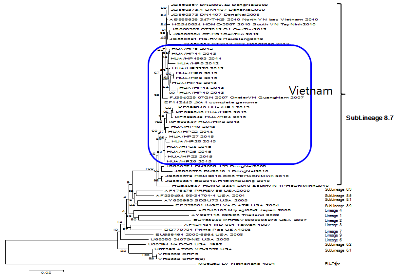 Phylogenetic tree for the nucleotide sequences of the ORF5 gene of PRRS viruses isolated in Vietnam compared with those of other PRRSV representatives. A bar represents 0.05 substitutions per nucleotide position