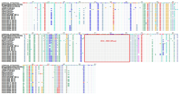 Alignment of the nucleotides of the NSP2 gene of different PRRSV strains isolated in Vietnam. Dot(.) indicates nt identity with the consensus sequence