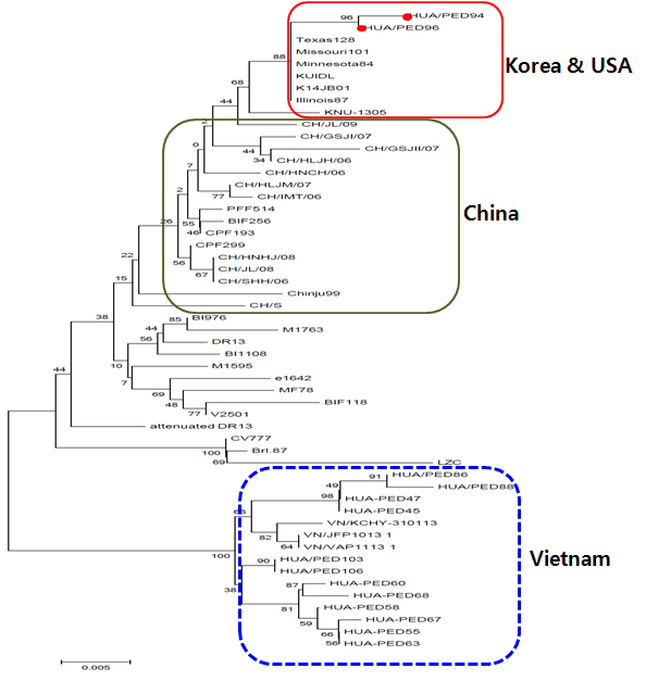 Phylogenetic tree for the nucleotide sequences of the ORF 3 gene of PED viruses in Vietnam compared with those of other PEDV representatives. A bar represents 0.005 substitutions per nucleotide position