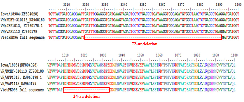 Alignment of the nucleotide sequences of the ORF 1 gene of HUA-PED 96 compared with different PEDV strains isolated in Vietnam