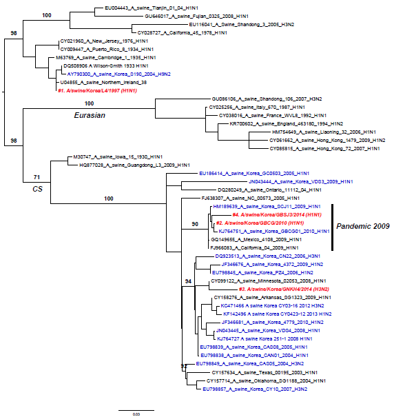 Swine H3N2 및 H1N1 NP 유전자에 대한 계통분류학 분석, 2014년도 국내 분리 SIV 붉은색