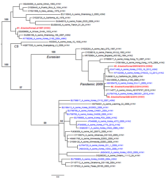 Swine H3N2 및 H1N1 M 유전자에 대한 계통분류학 분석, 2014년도 국내 분리 SIV 붉은색