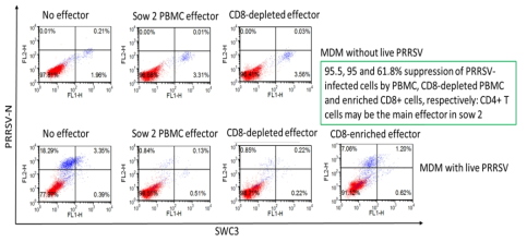 PBMC, CD8-depleted PBMC, CD8+ enriched cell에 의한 virus suppression 효과