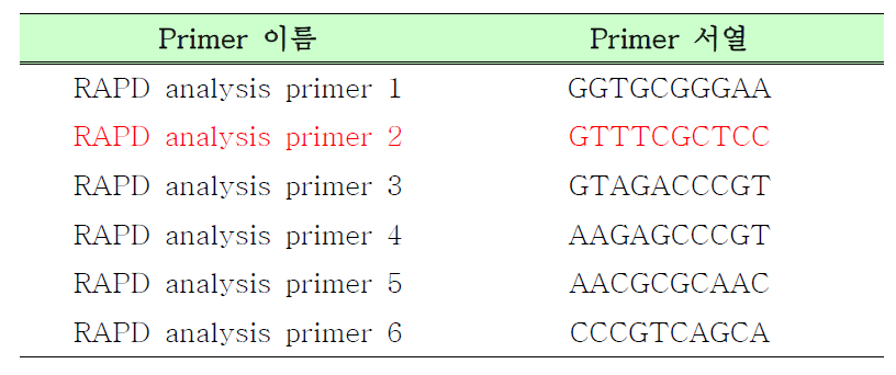 RAPD 실험에 사용한 primer의 종류