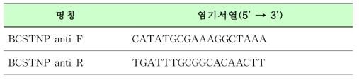 STNP anitisense oligonucleotide의 서열