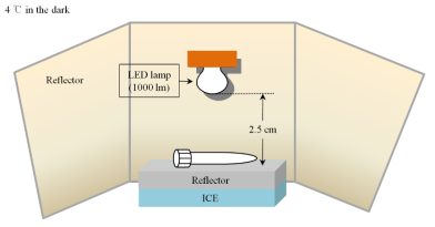 PMA 전처리를 위한 LED photolysis 장치 구조