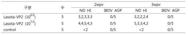 rLasota-VP2 백신접종군(점안) 에 대한 항체역가