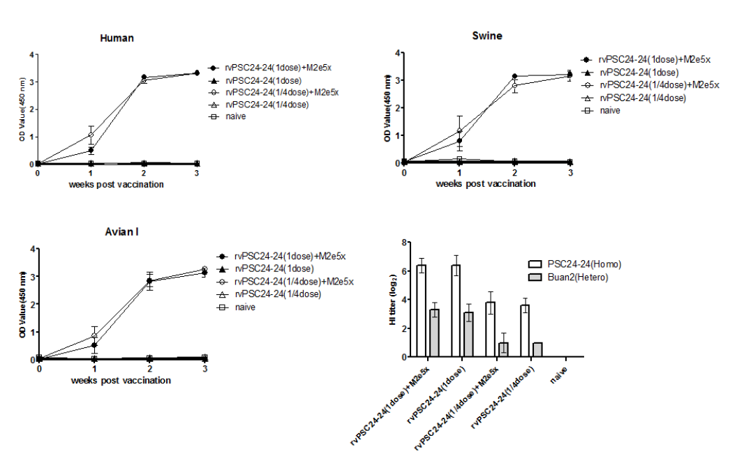 rvPSC-2424에 M2e5x VLP 보강백신 접종 후 면역반응