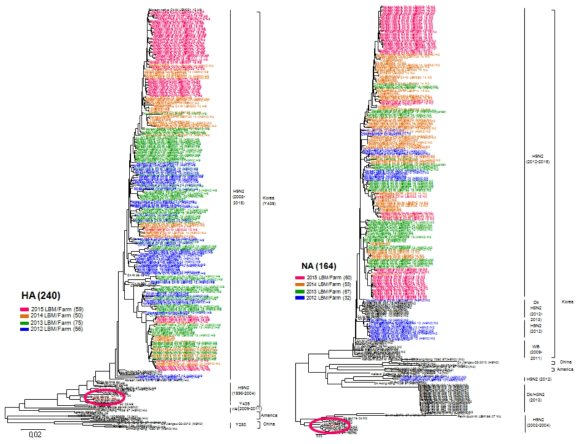 최근 유행하고 있는 H9N2 바이러스의 표면유전자 근연관계 분석 (HA, NA)